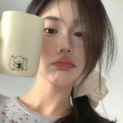没人瞭波斯猫